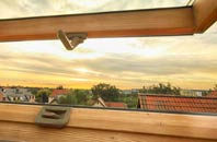rated Stanley Common roof window companies